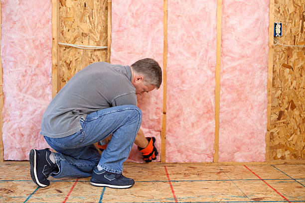 Best Cellulose Insulation in Sunset, FL
