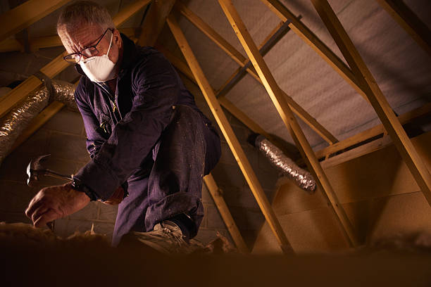 Best Insulation Maintenance and Repair in Sunset, FL
