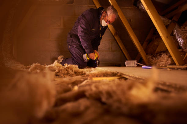 Types of Insulation We Offer in Sunset, FL