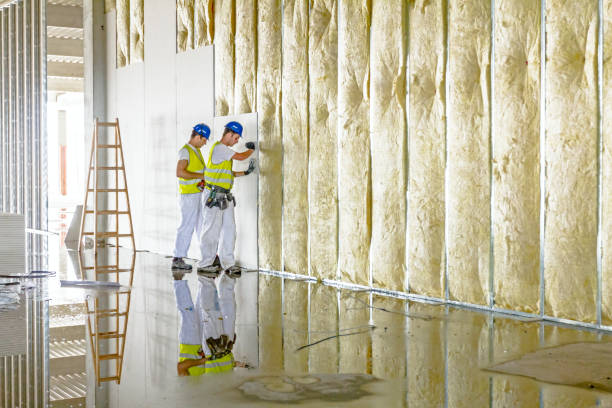 Best Residential Insulation in Sunset, FL